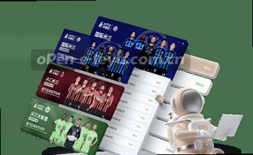 确认入口指南